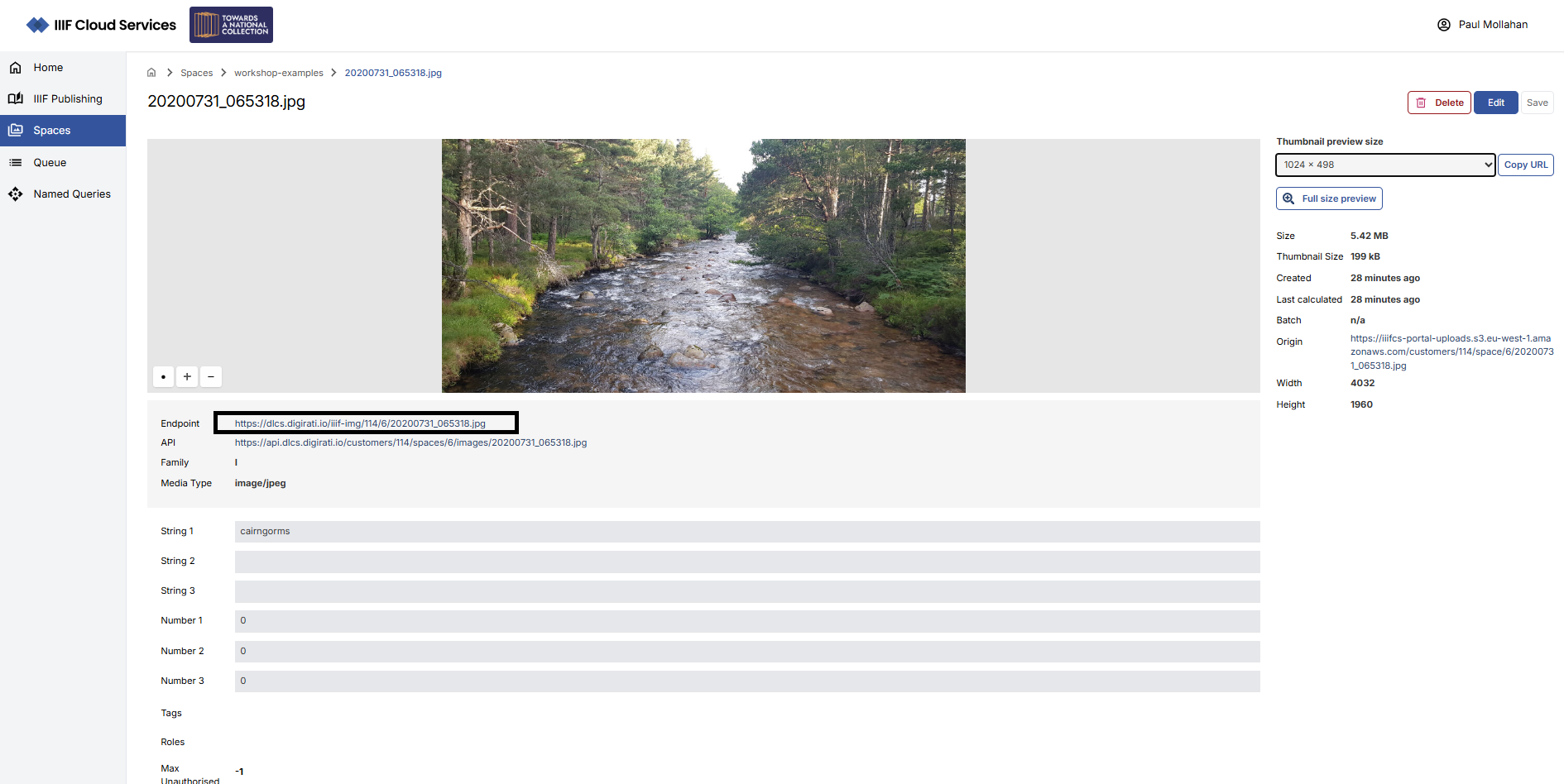 IIIF Image examine endpoint