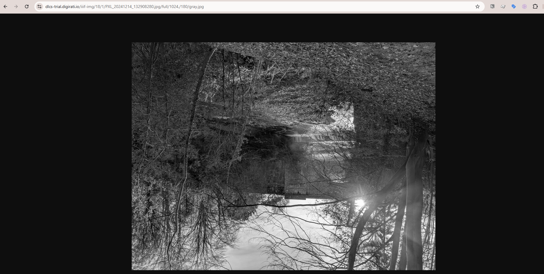 IIIF Image - gray 180 version